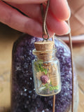 Dried Strawberry and Cicada Shell Necklace