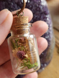 Dried Strawberry and Cicada Shell Necklace