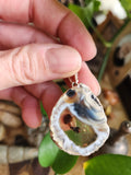 Real Dried Mushroom in Agate Slice Pendant