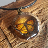 Woodland Window Acorn Cap Necklace Series (8 Options)