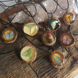 Woodland Window Acorn Cap Necklace Series (8 Options)