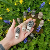 Morel Mushroom Antler Whistle
